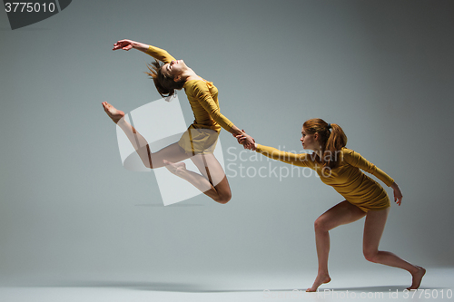 Image of The two modern ballet dancers 