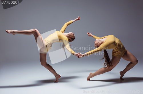 Image of The two modern ballet dancers 