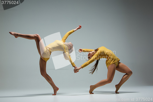 Image of The two modern ballet dancers 