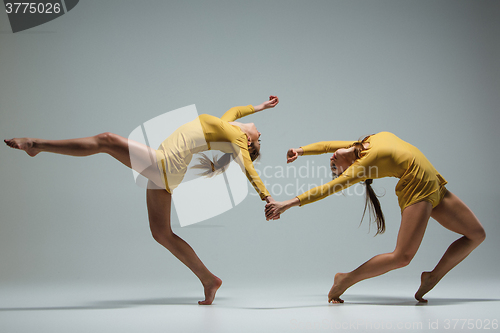 Image of The two modern ballet dancers 