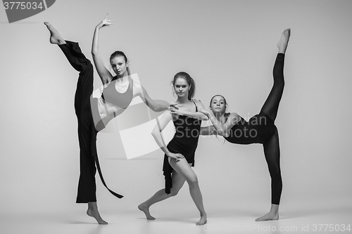 Image of The group of modern ballet dancers 