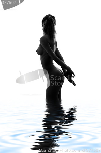 Image of monochrome silhouette image of naked girl in water #2
