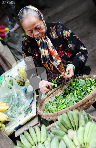 Image of Market