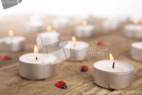 Image of Candles with ladybugs