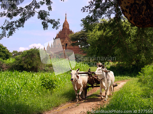 Image of Myanmar vintage landscape