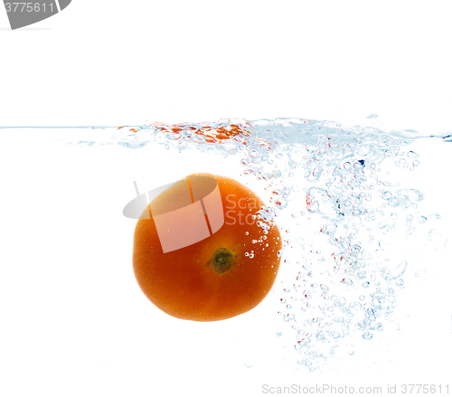 Image of tomato falling or dipping in water with splash