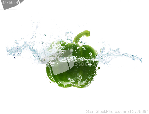 Image of pepper falling or dipping in water with splash