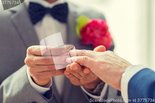 Image of close up of male gay couple hands and wedding ring