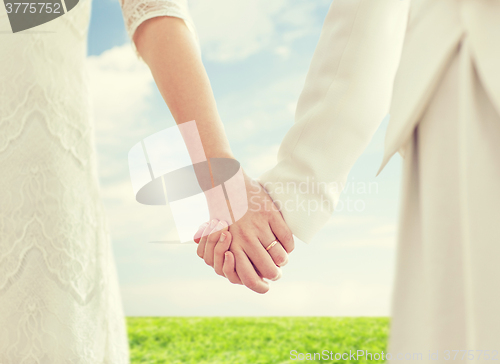 Image of close up of happy lesbian couple holding hands