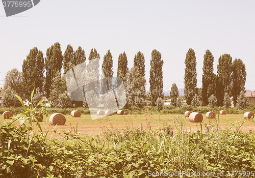 Image of Retro looking Hay bale