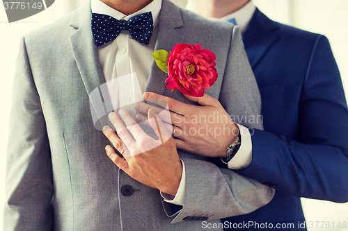 Image of close up of happy male gay couple