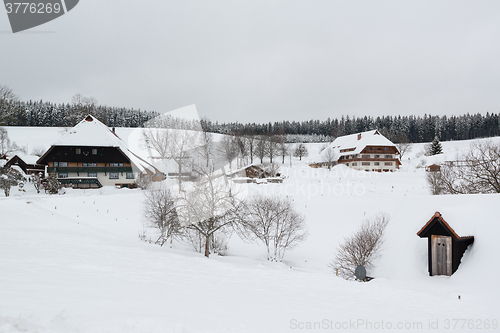 Image of Typical black forest houses