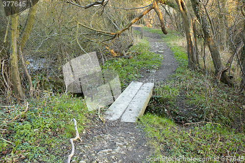 Image of Old wooden bridge