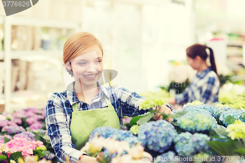 Image of happy woman taking care of flowers in greenhouse