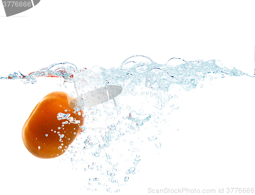 Image of tomato falling or dipping in water with splash