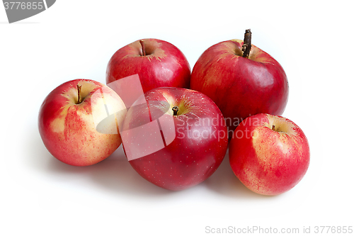 Image of Apples on white background