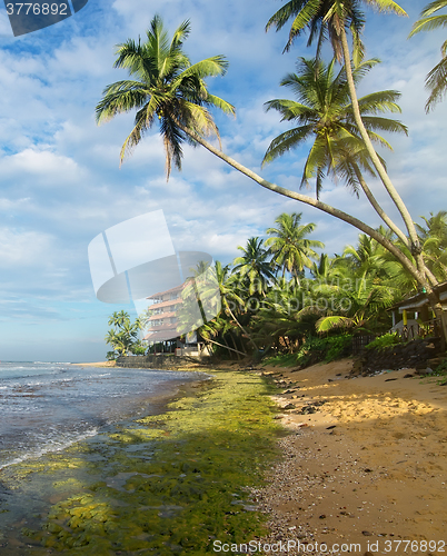 Image of Shadows on the beach