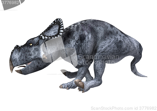 Image of Dinosaur Protoceratops on White