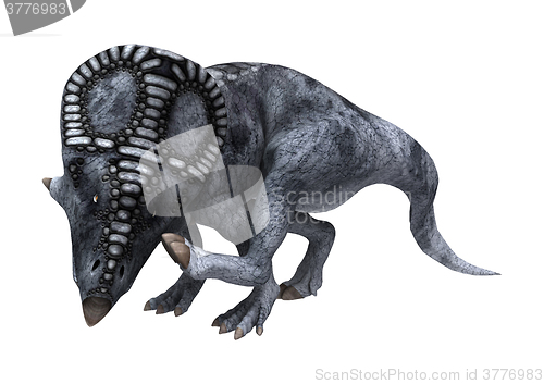 Image of Dinosaur Protoceratops on White