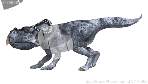 Image of Dinosaur Protoceratops on White