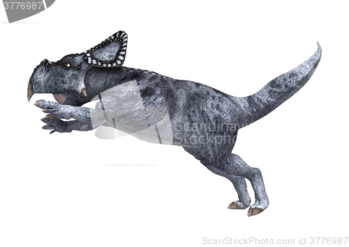 Image of Dinosaur Protoceratops on White