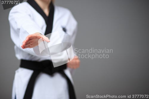 Image of The karate girl with black belt 