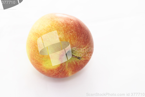 Image of braeburn apple