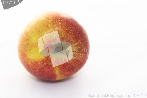 Image of braeburn apple