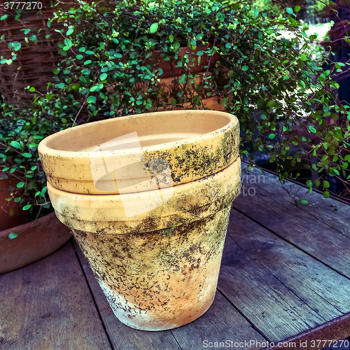 Image of Old mossy clay pot