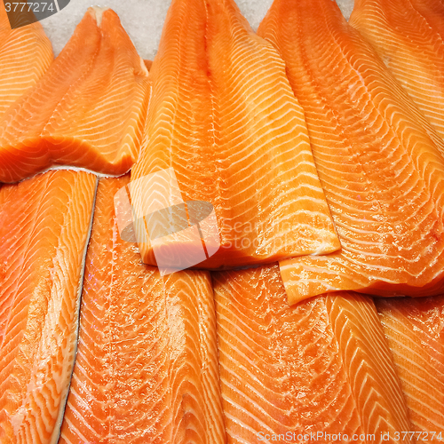 Image of Salmon fillet at the fish market