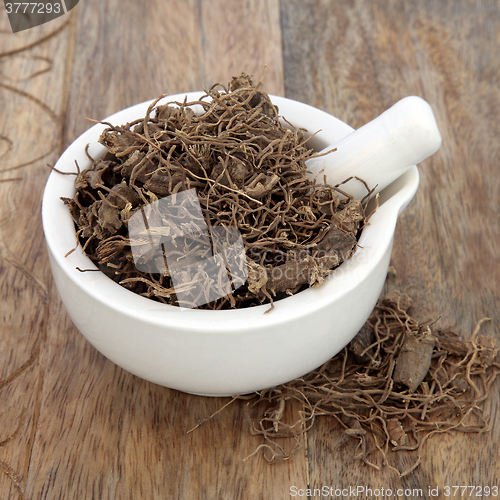 Image of Black Cohosh Root Herb