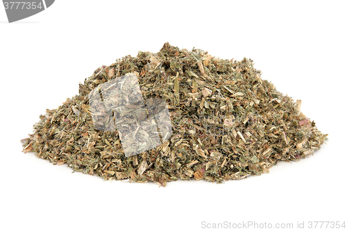 Image of Blessed Thistle Herb