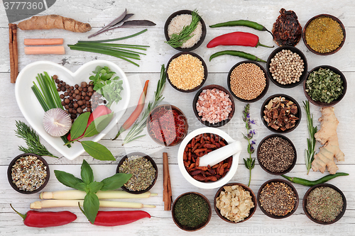 Image of Spice and Herb Collection