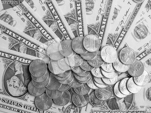 Image of Black and white Dollar coins and notes