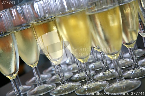 Image of Champagne