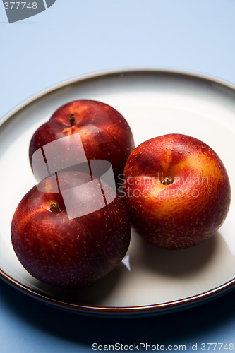 Image of Nectarines