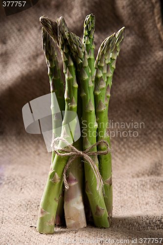 Image of Asparagus