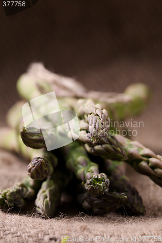 Image of Asparagus