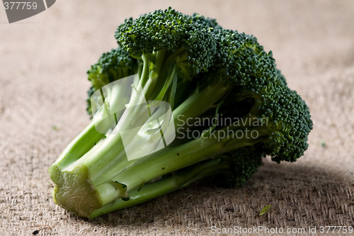 Image of Broccoli