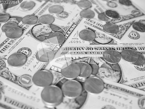 Image of Black and white Dollar coins and notes