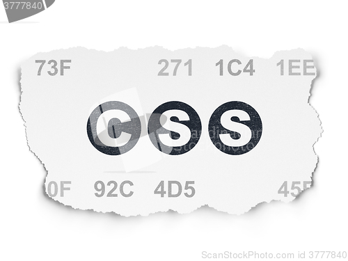 Image of Database concept: Css on Torn Paper background