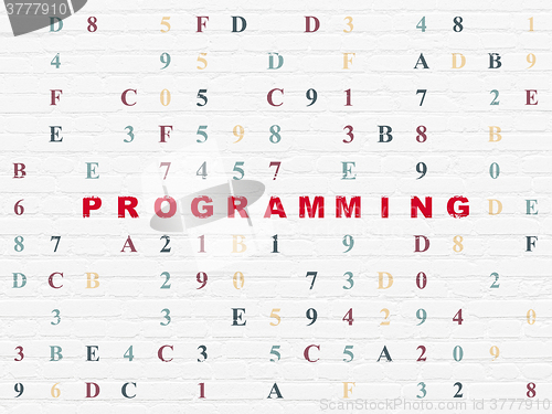 Image of Programming concept: Programming on wall background