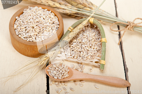 Image of organic barley grains