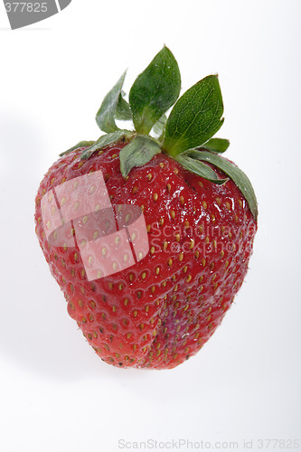 Image of strawberry