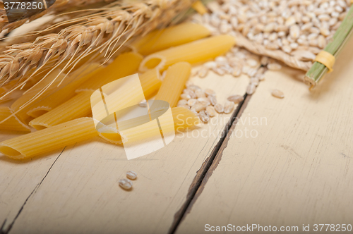 Image of Italian pasta penne with wheat