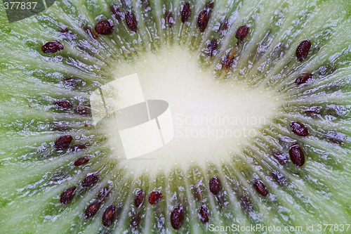 Image of Kiwi, organic