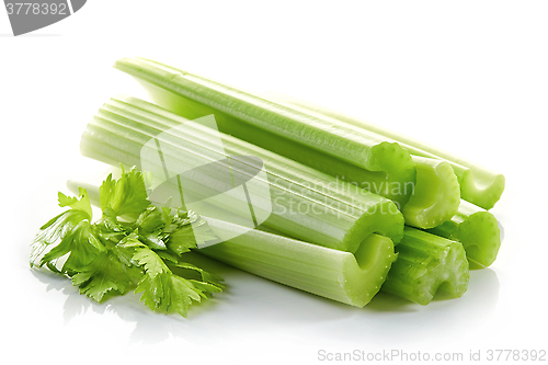 Image of green celery sticks and leaf