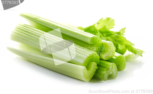Image of celery sticks on white background