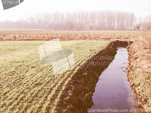 Image of Retro looking Field picture