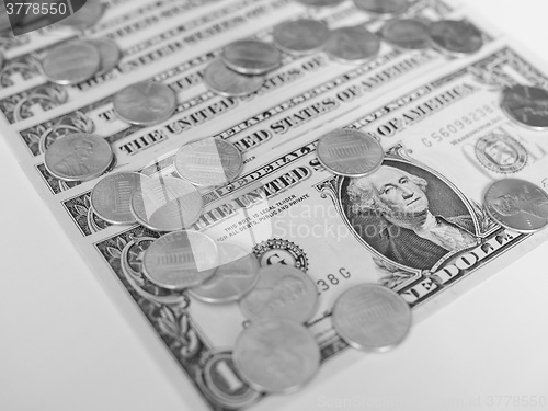 Image of Black and white Dollar coins and notes